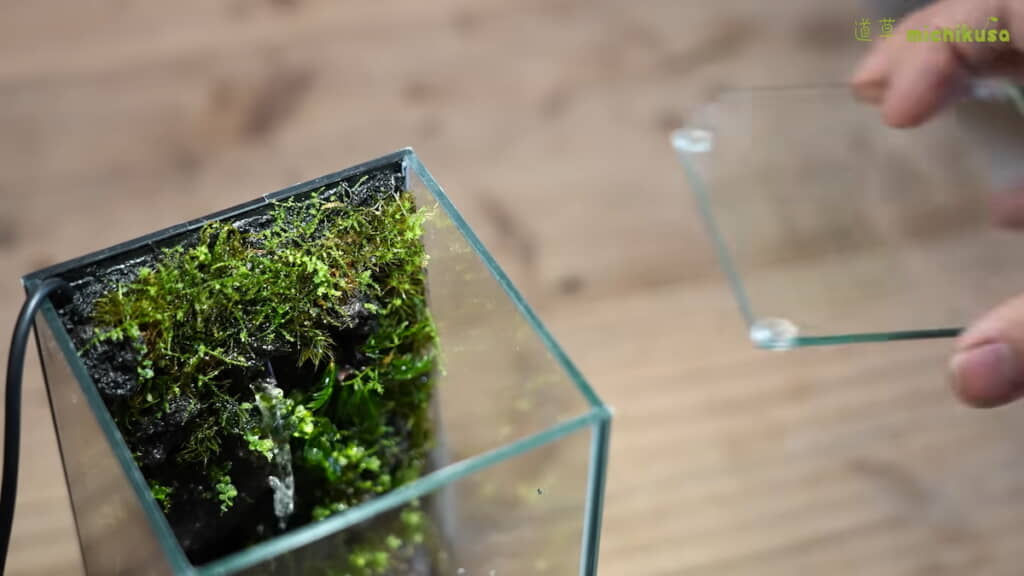 上から見るとこんな感じ
