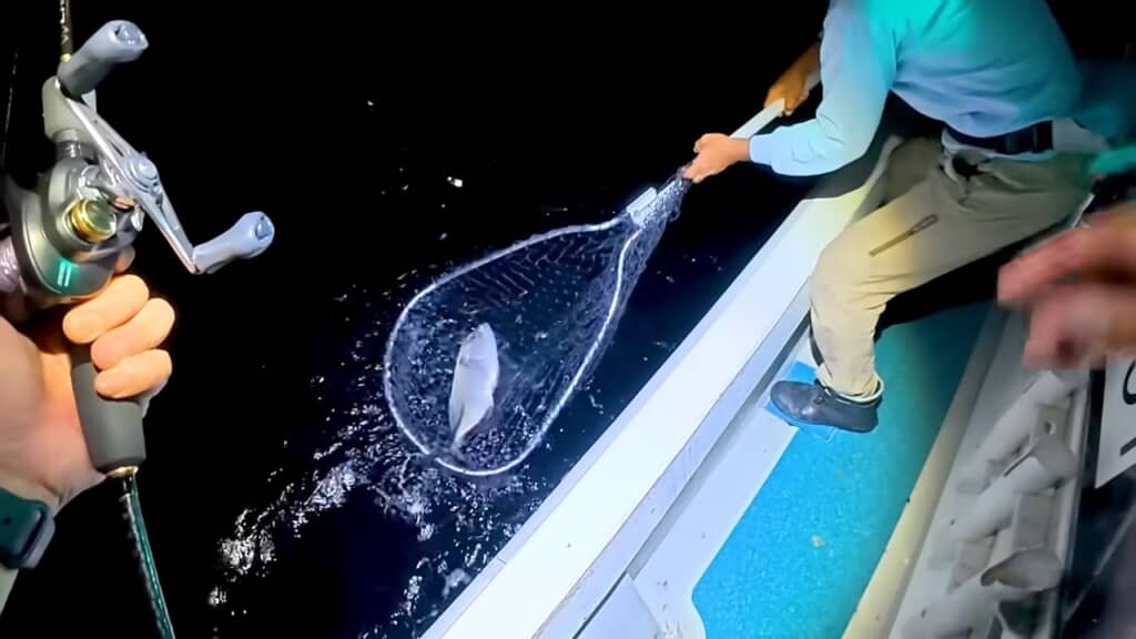 死闘の末に捕れたのは……