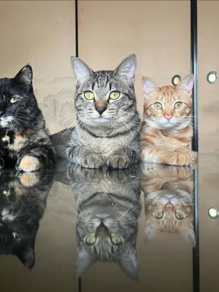 これはまさにウユニ塩湖！