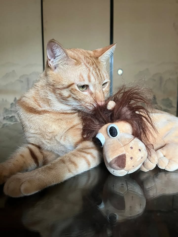 ほっこりします