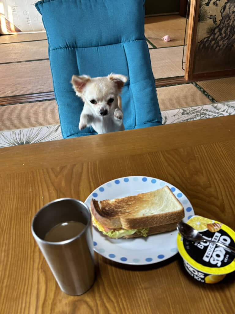 狙われてるー!!!!