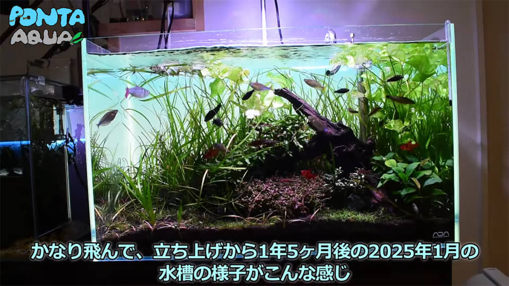 ほとんど跡形もなくなってしまいました、残念……！