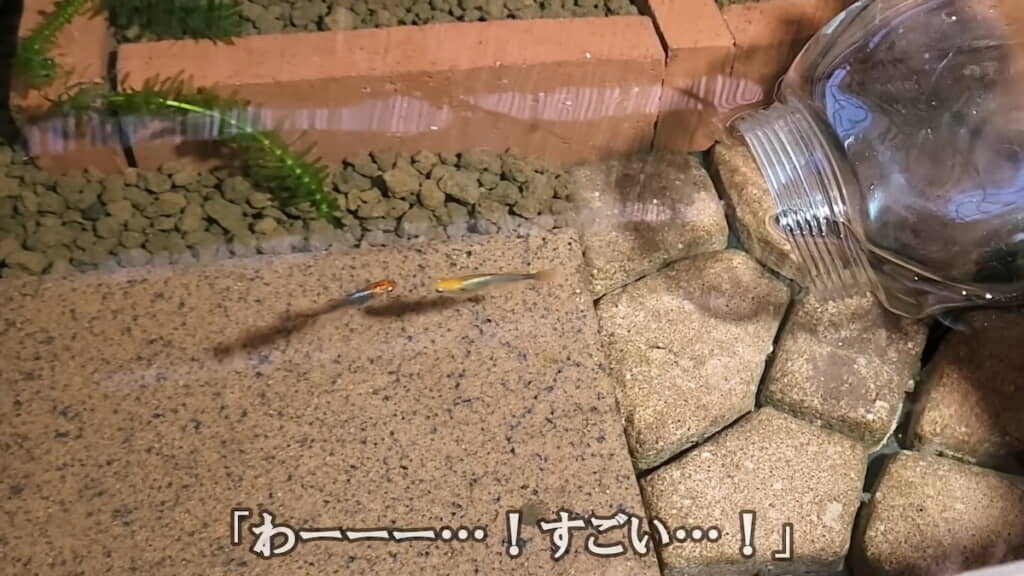 双方気付いてスーッと近づいていく