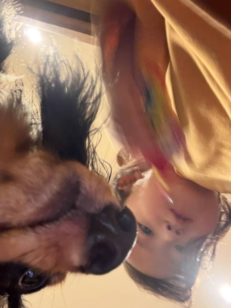 はやり（？）の下から撮影