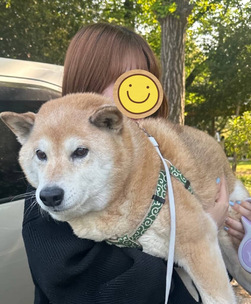 確かに、体が大きいぱんくん