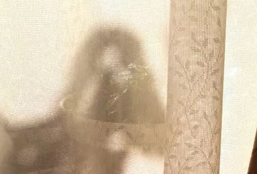 影に映ったベランダの光景とは……？