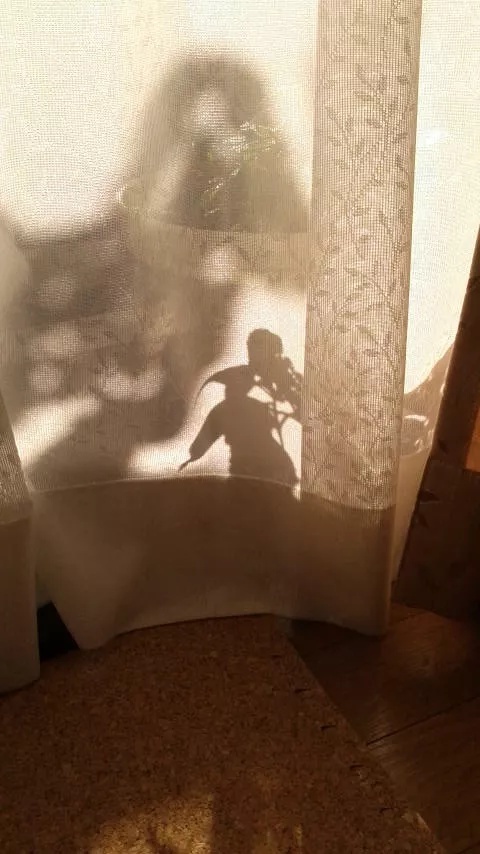 影に映った妖精さん