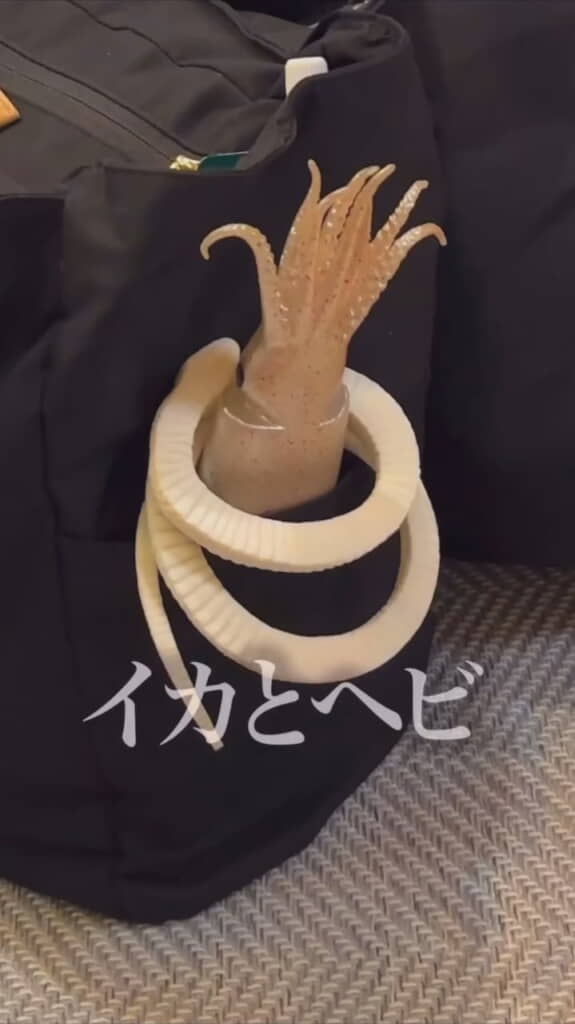 なぞのイカとヘビ