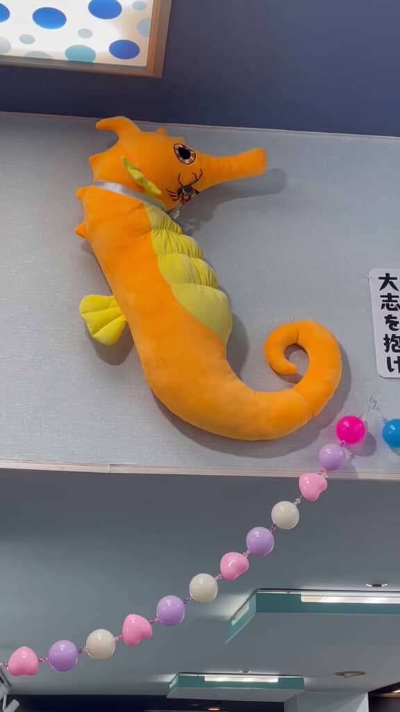 タツノオトシゴぬいぐるみに張り付いている物体