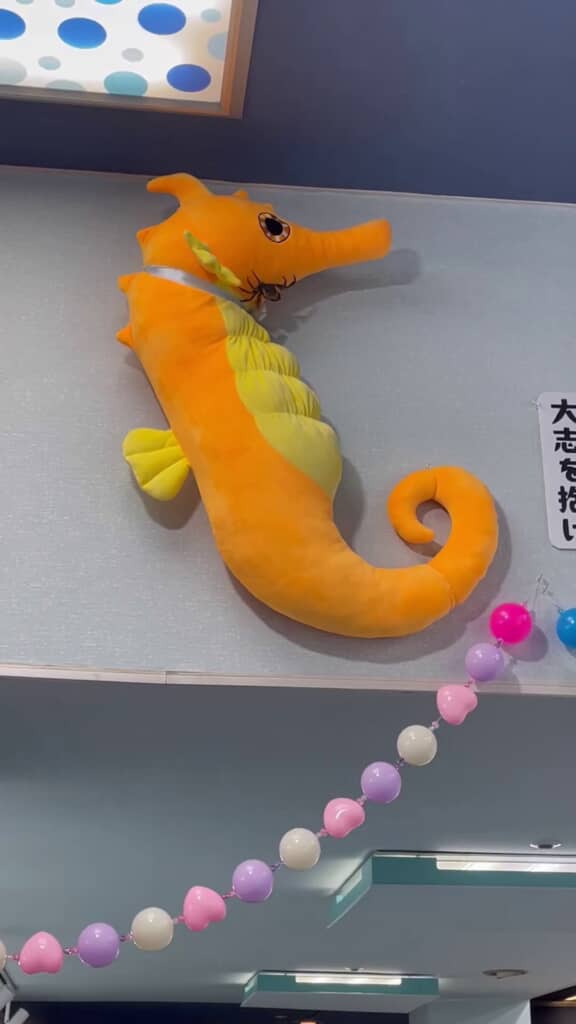 タツノオトシゴぬいぐるみの上を移動する物体