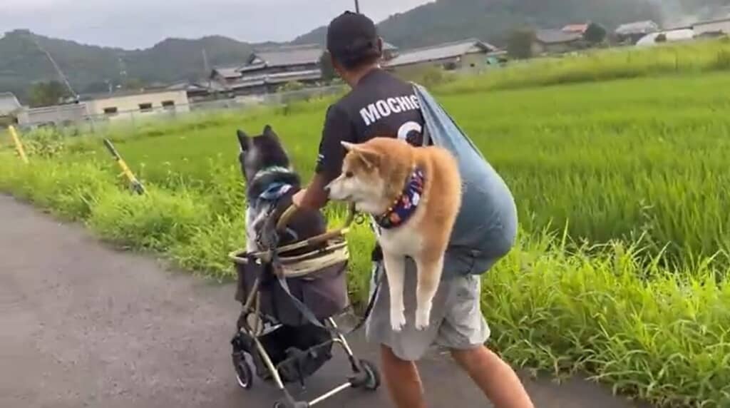 幸せの重みを味わっています