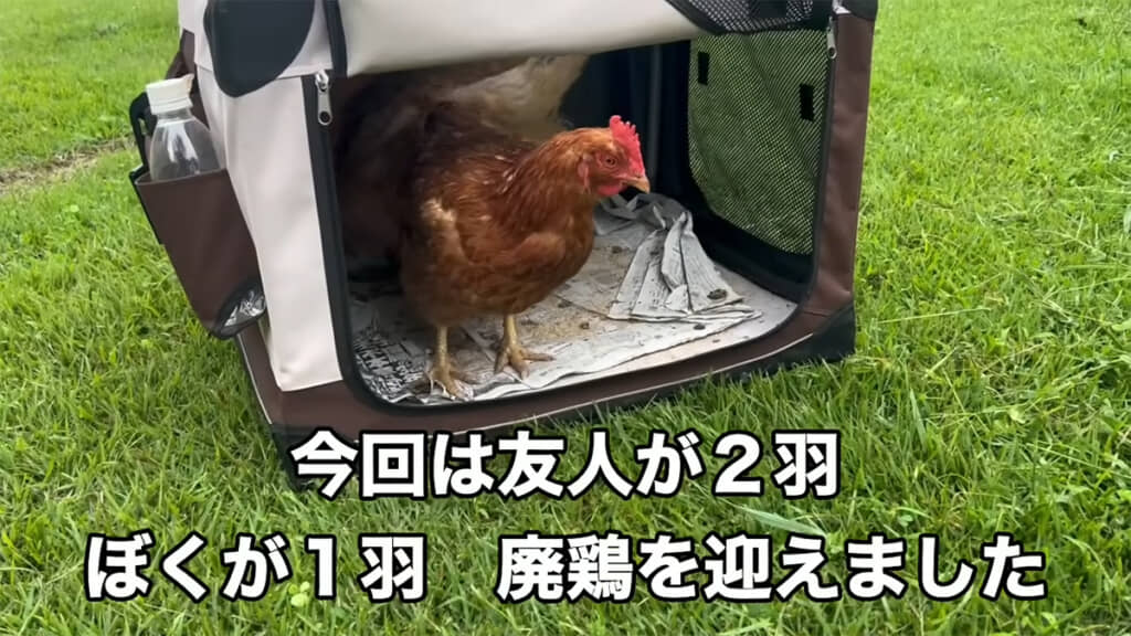 自宅へと向かう前に、少し外へ出してみることに