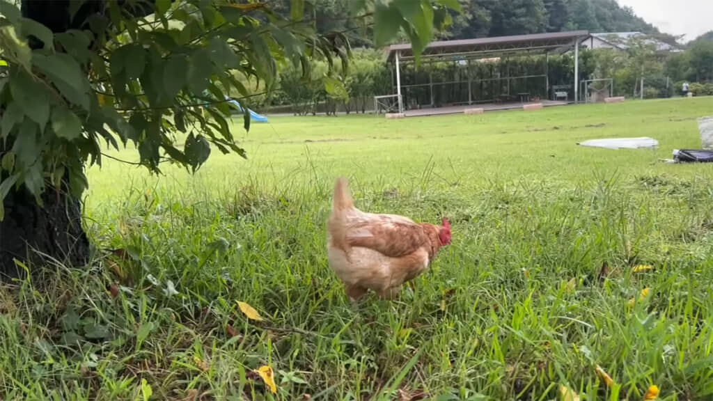 おいしいかな？