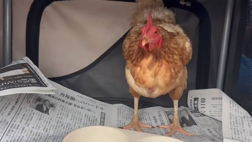 人慣れはしていないけれど、元気いっぱいな万結さん