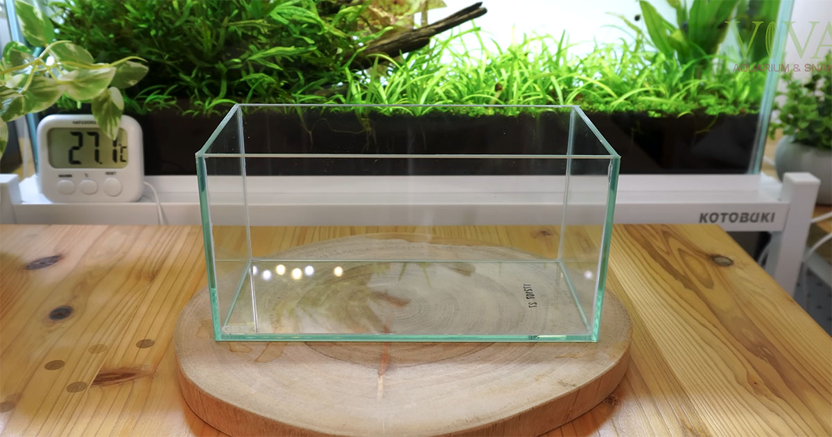 生体飼育に不向きの超小型水槽→手を加えたら……　大迫力の完成品に「切り抜いたアート」「こういうの好き」（1/3） | ホビー ねとらぼ