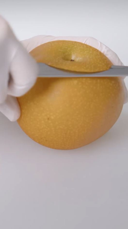 皮を剥く前の梨の状態