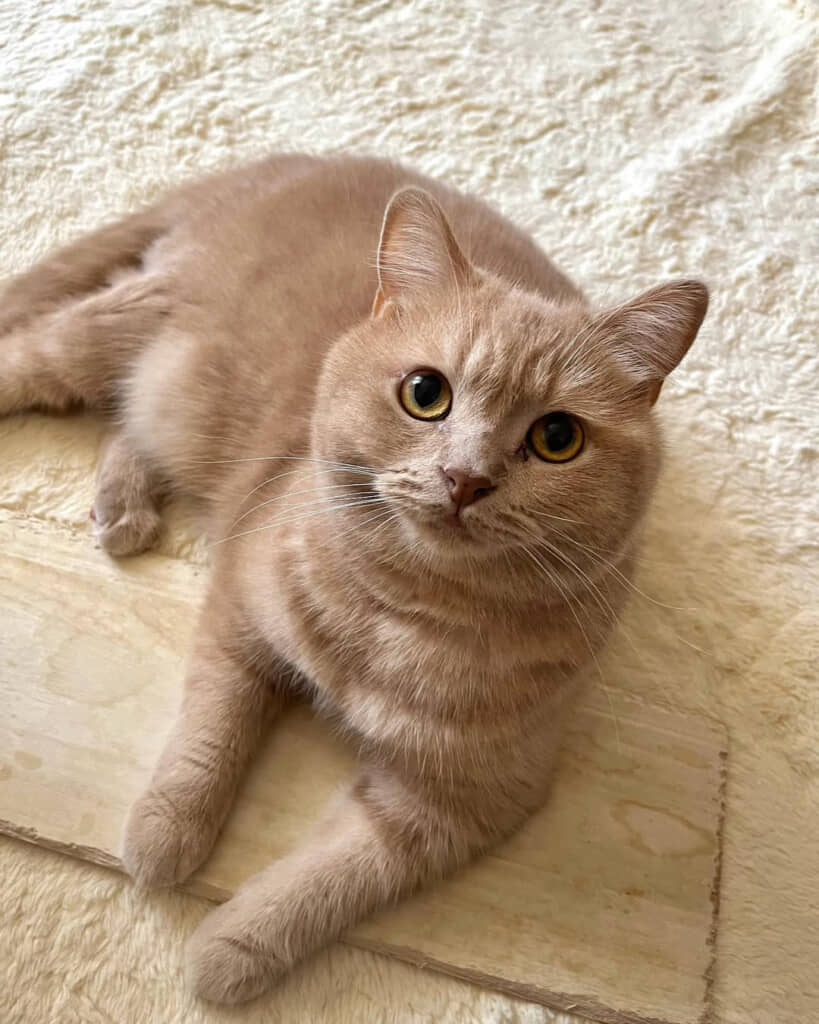 変わらぬかわいさのまま成長……！