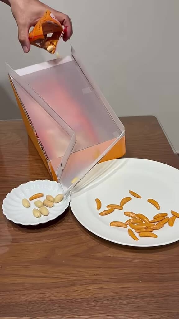 柿ピー分別マシン・1個だけうまく分別できていない