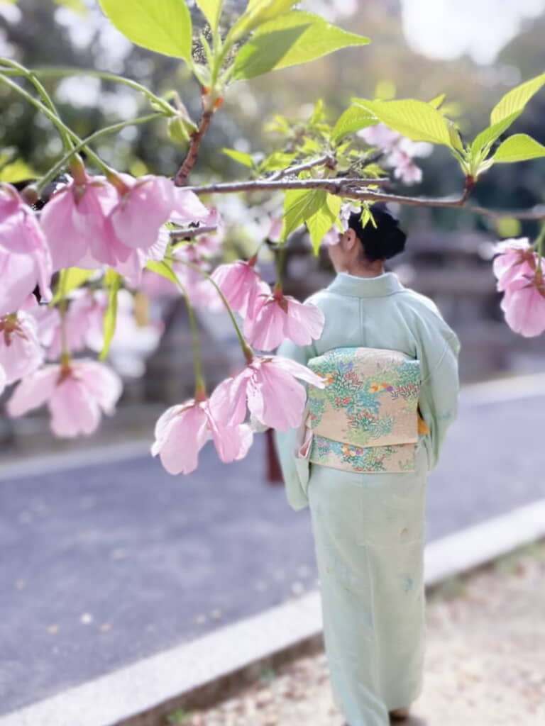 春にも映える！