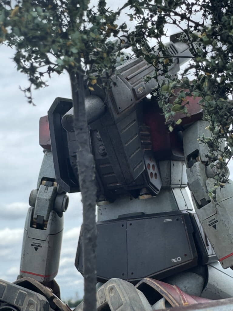 木陰からのアナザーカット