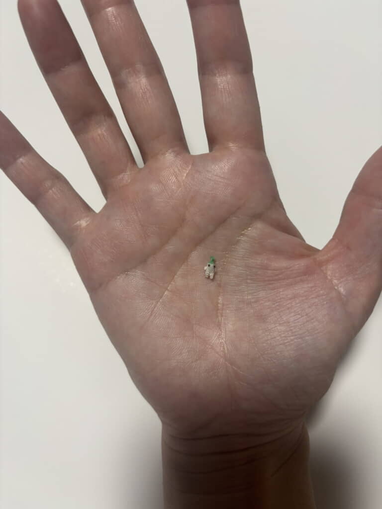 完成！　ちっっちゃい！