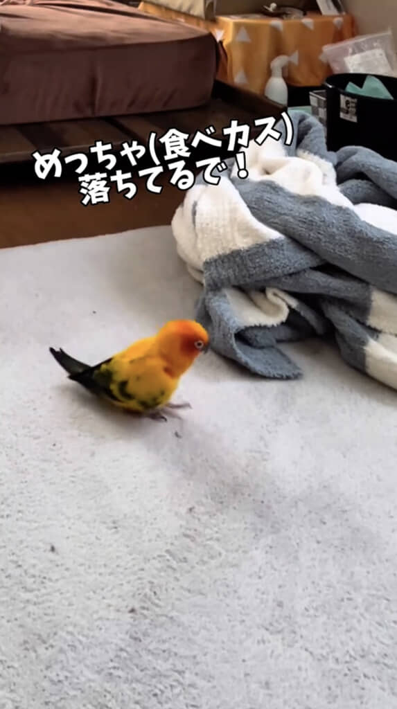 目を合わせない善逸くん