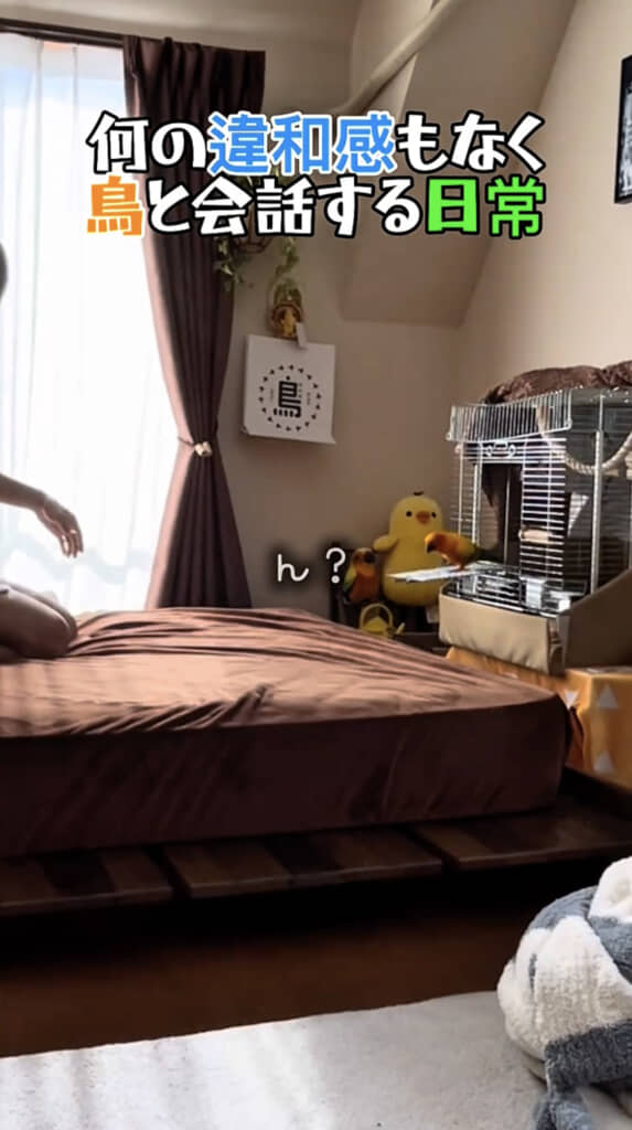 ケージから出てくると……