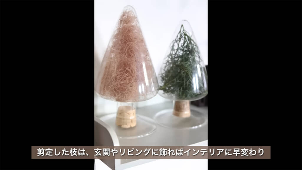 モクモクした花はインテリアにもなるのだとか