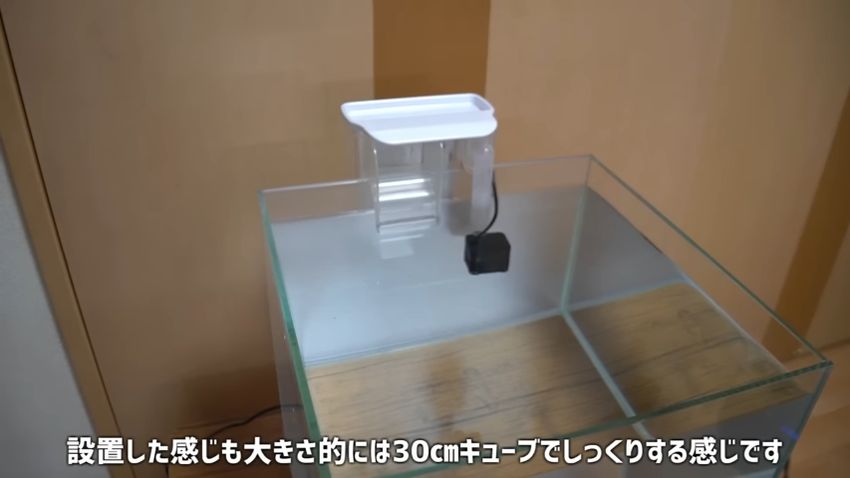 水槽用外掛けフィルターを30センチキューブ型水槽にセットした様子