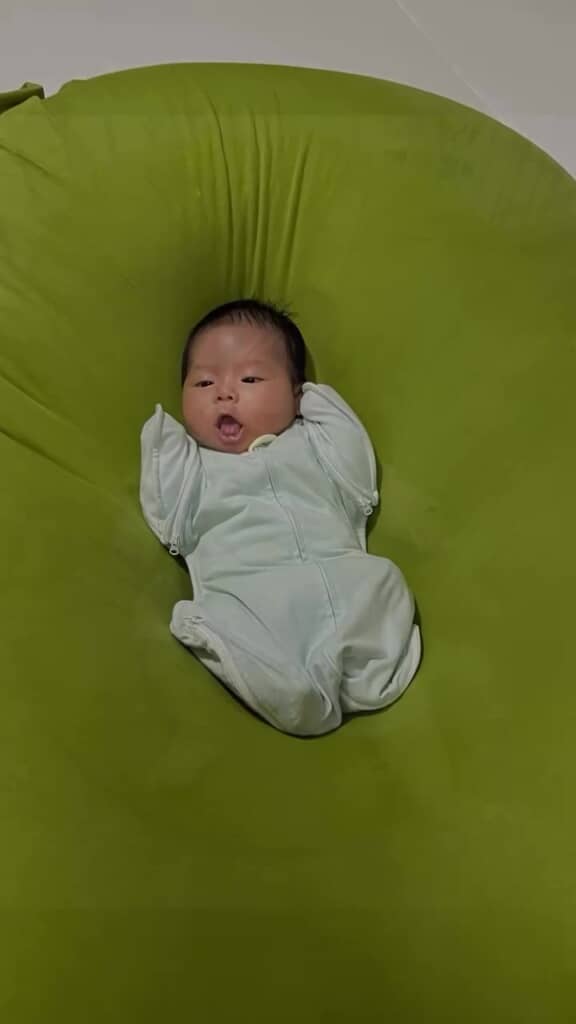 ソファにちょこんと乗る姿がかわいい