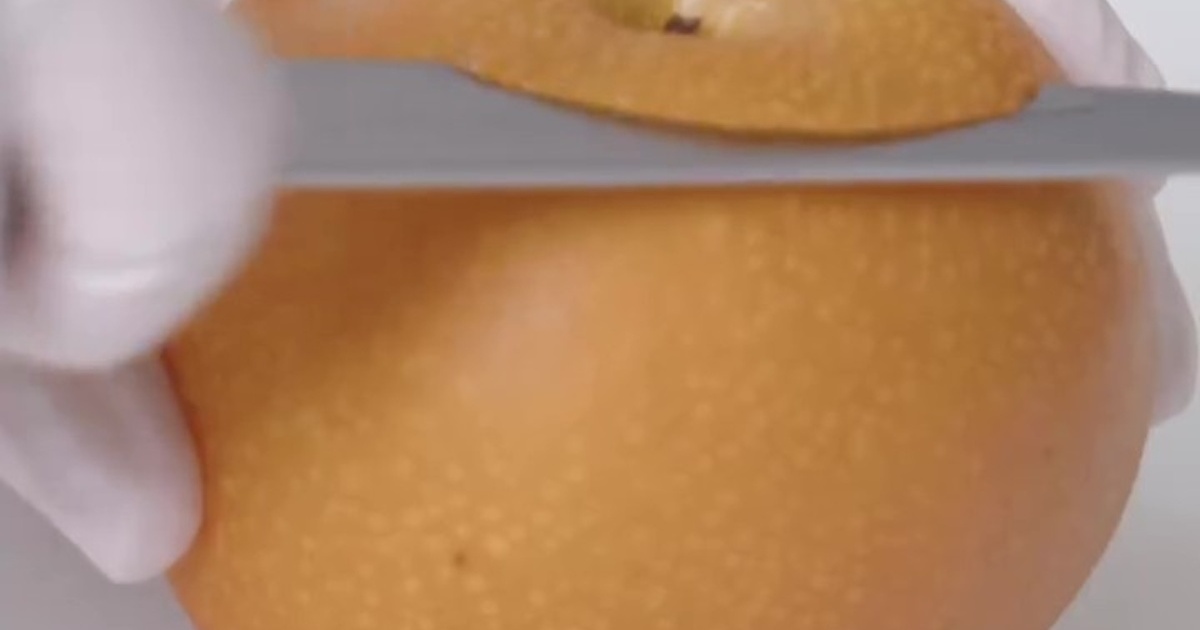 老舗果物専門店のパティシエが“梨のむき方”を披露したら……　420万再生の芸術レベルの職人技に「真珠のよう」「鳥肌立ちました」（1/3） | ライフスタイル ねとらぼ