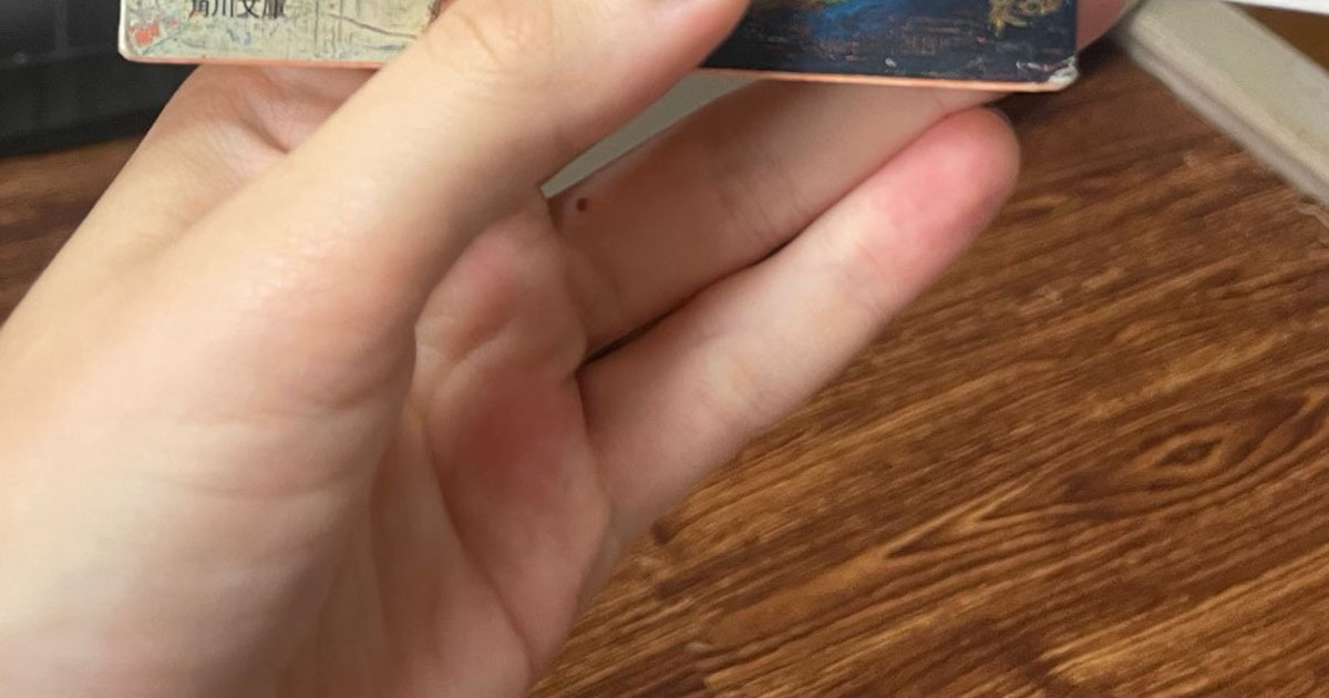 バイトを3年半で辞める若い女性→仲良しのおばちゃんからの“最後の贈り物”に号泣「これ、最高ですよね」「すてきすぎる」（1/3） | ライフスタイル ねとらぼ