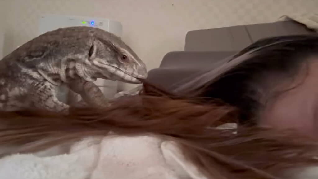 髪の毛を引っ張っていたのは「どん」ちゃん