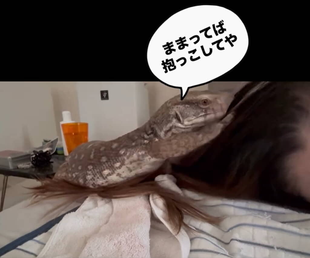 かまちょ攻撃！