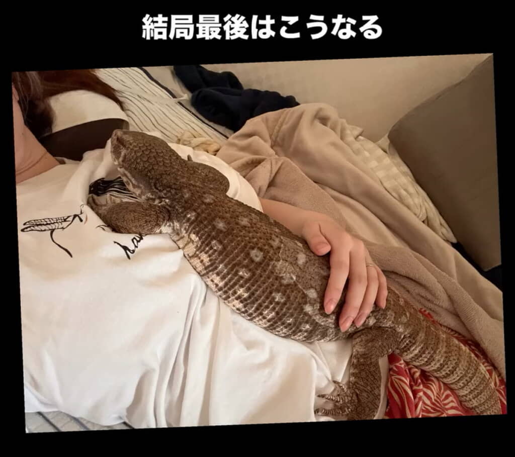 抱っこしてもらえてよかったね◎