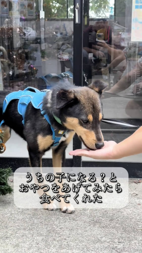 おやつを食べてくれました