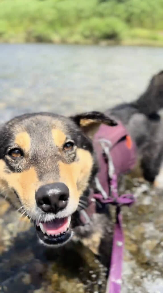 川遊びで笑顔を見せるサイガくん