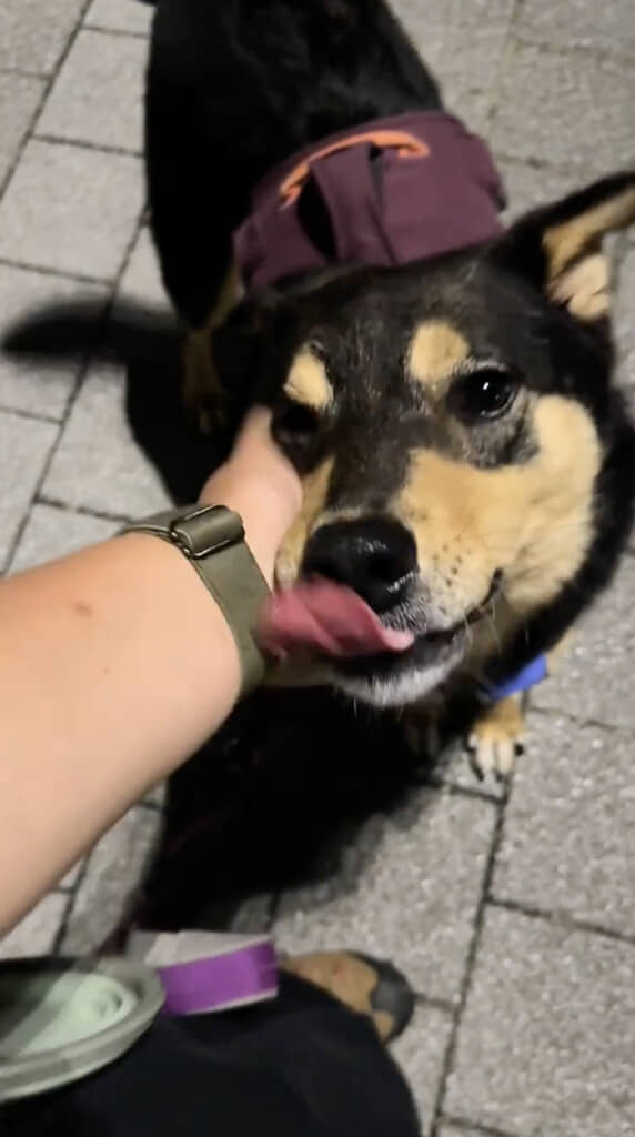 なでられてうれしそう！