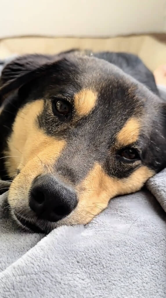 ずーっと一緒にいようね