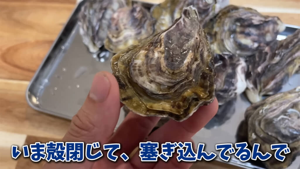 中が乾燥しないよう、ぴったりと殻を閉じている様子