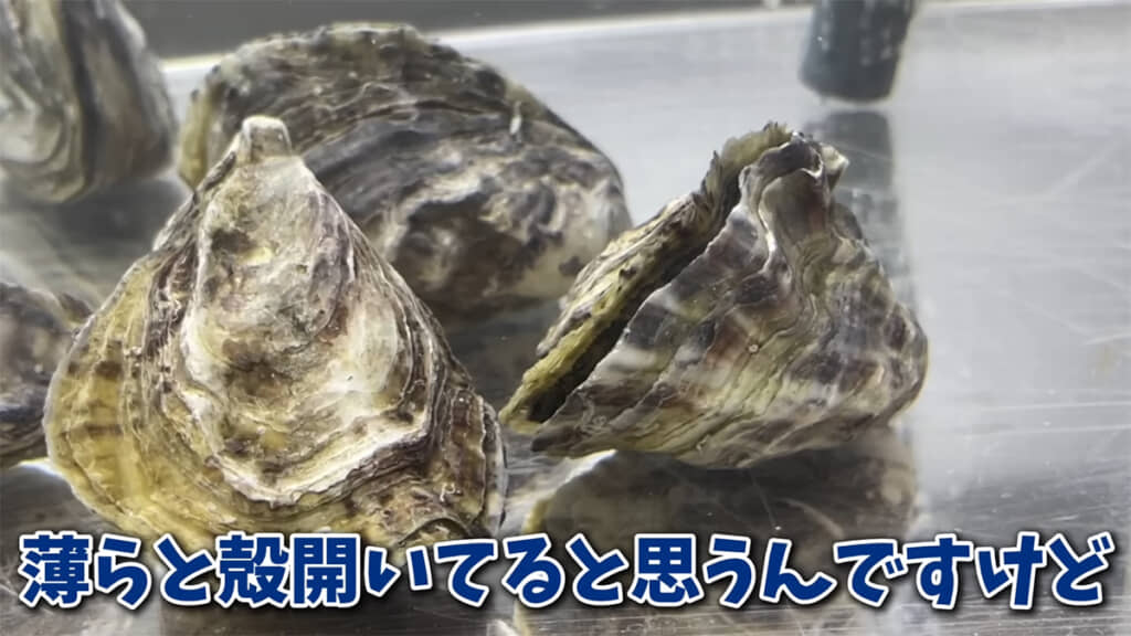 ほんのり殻が開いたと思ったら