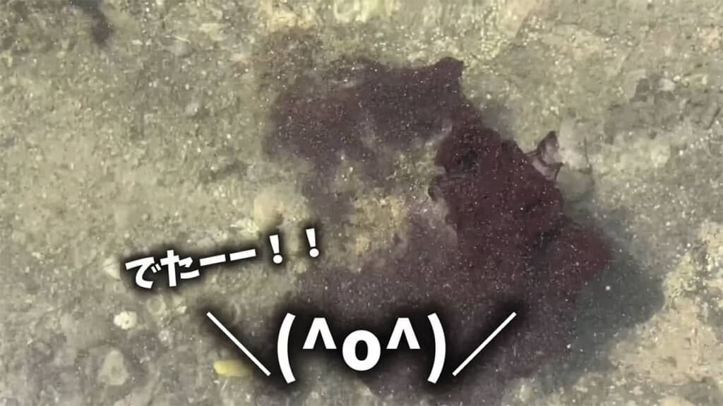 驚くほど鮮やかな色の液体です