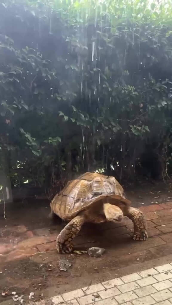 吾作さん「気持ちよか～」