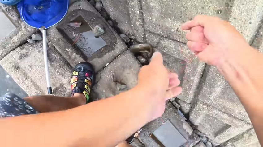 ブロックの隙間からウナギを釣り上げる瞬間