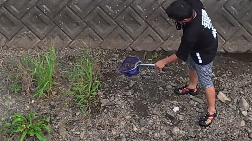 3匹目のウナギをタモ網に入れる瞬間