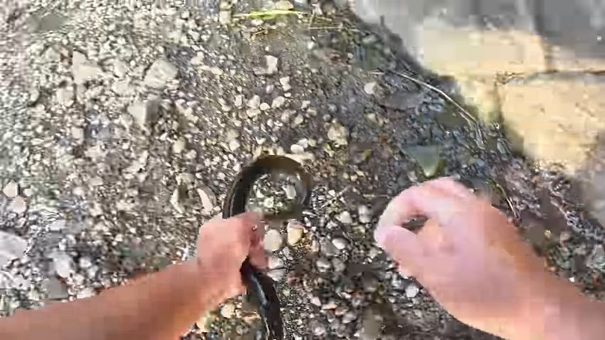 素手で捕まえられた6匹目のウナギ