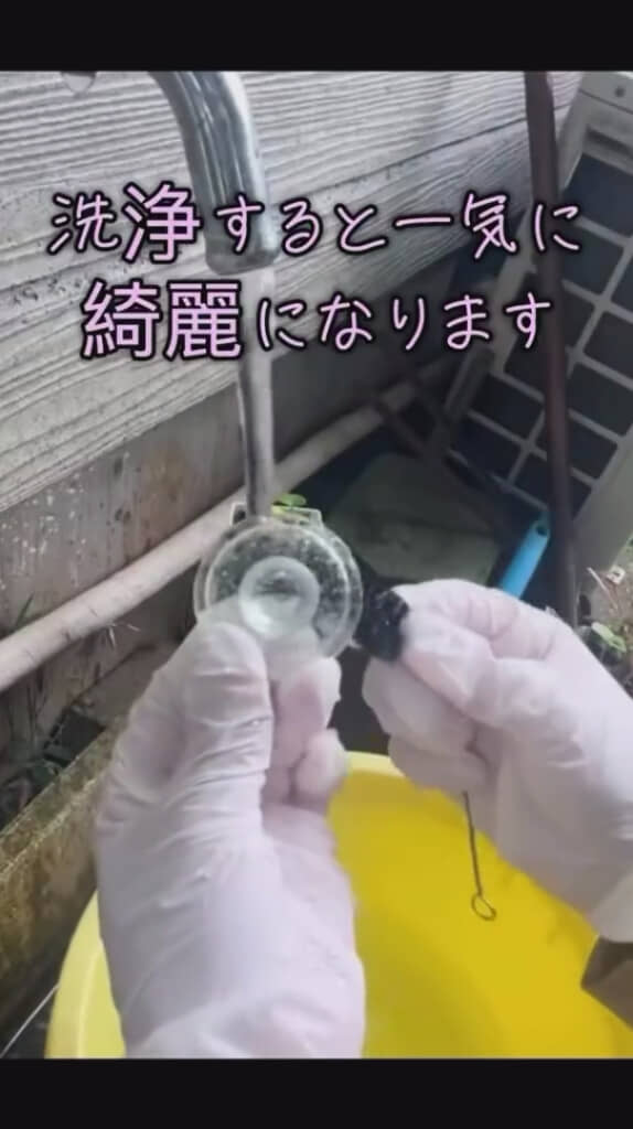 しっかりと洗浄