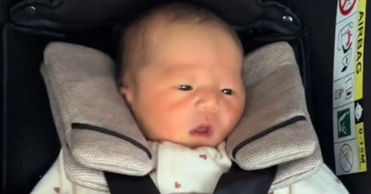 チャイルドシートにすっぽり収まる赤ちゃん→半年後……　同じ場所で撮った“現在の姿”に「こんなにも大きくなるの!?」「貫禄が」（1/3） | 育児 ねとらぼ