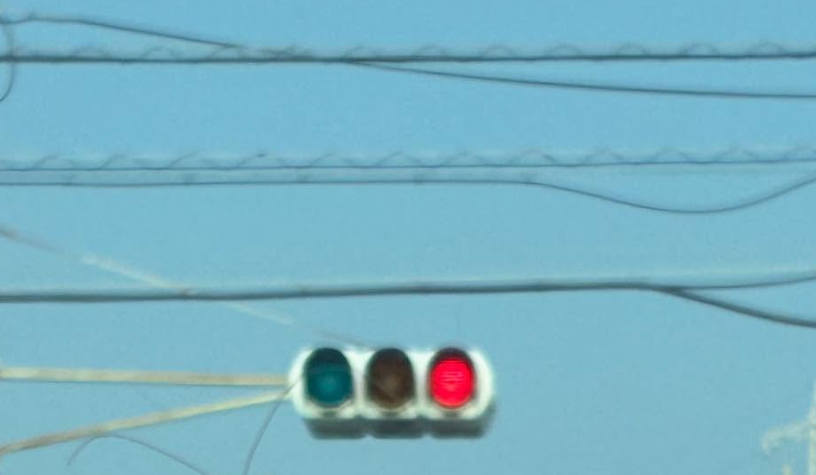 車内から正面方向を撮った写真には……
