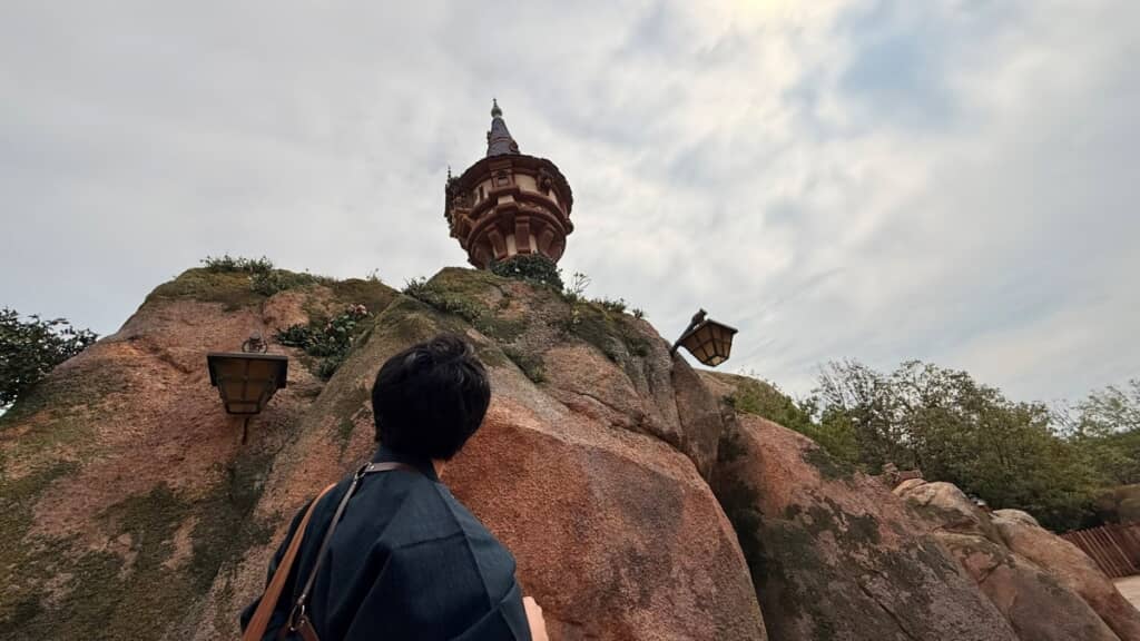 ラプンツェル！　髪を！